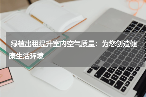 绿植出租提升室内空气质量:为您创造健康生活环境
