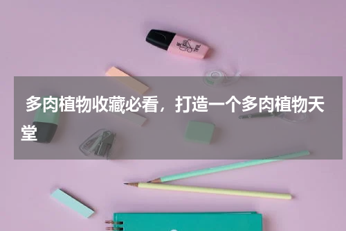  多肉植物收藏必看，打造一个多肉植物天堂