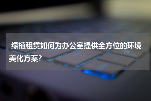 绿植租赁如何为办公室提供全方位的环境美化方案?